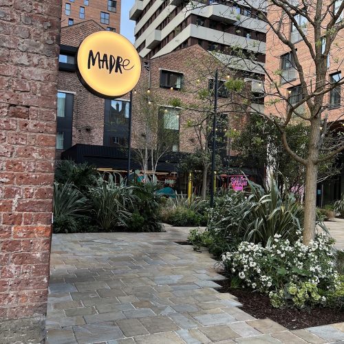Wood-grilled seafood and tacos at Madre, Kampus