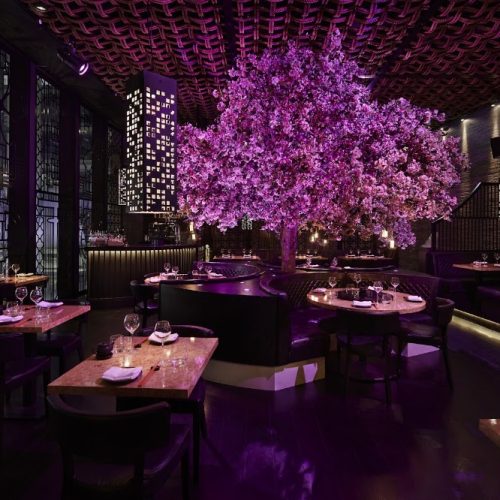 Tattu, Hardman Square